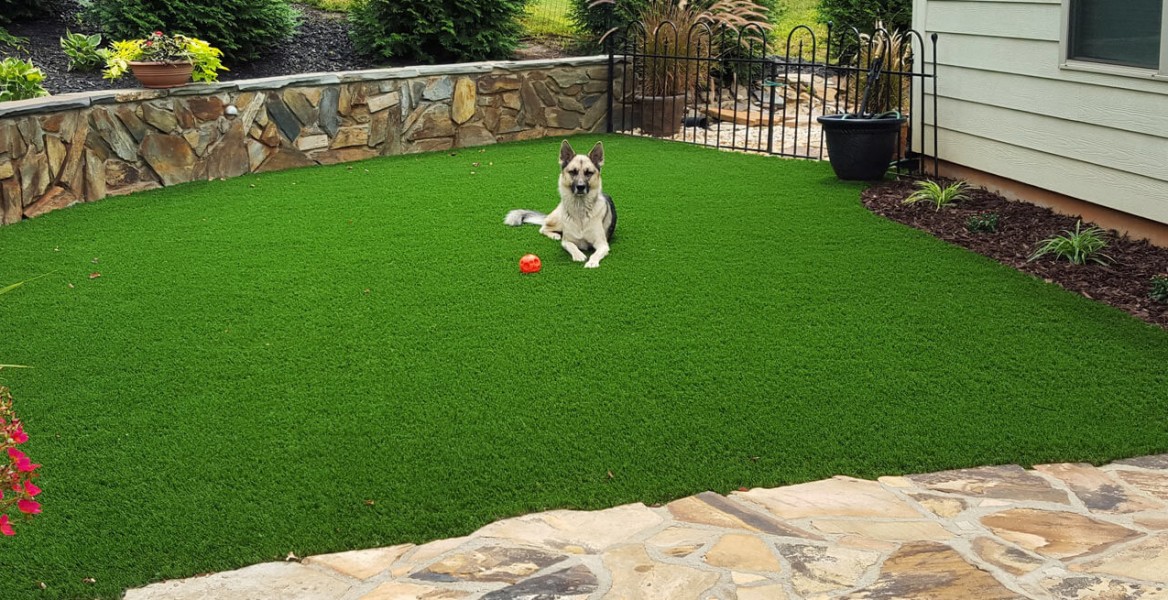 What To Include In Your Diy Dog Run Synlawn Carolina