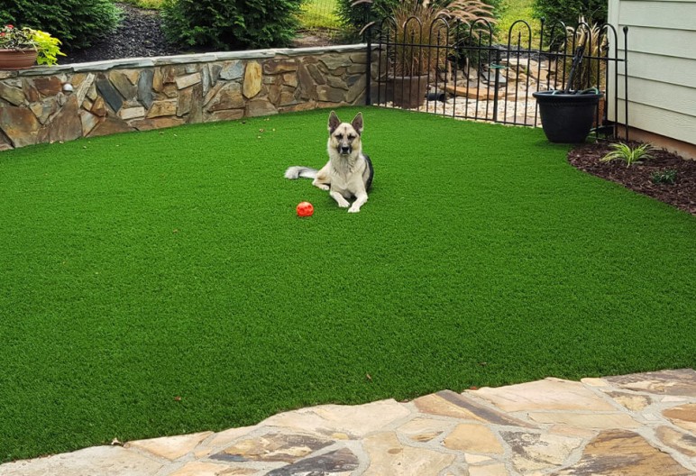 Is Artificial Grass Good For Dog Runs
