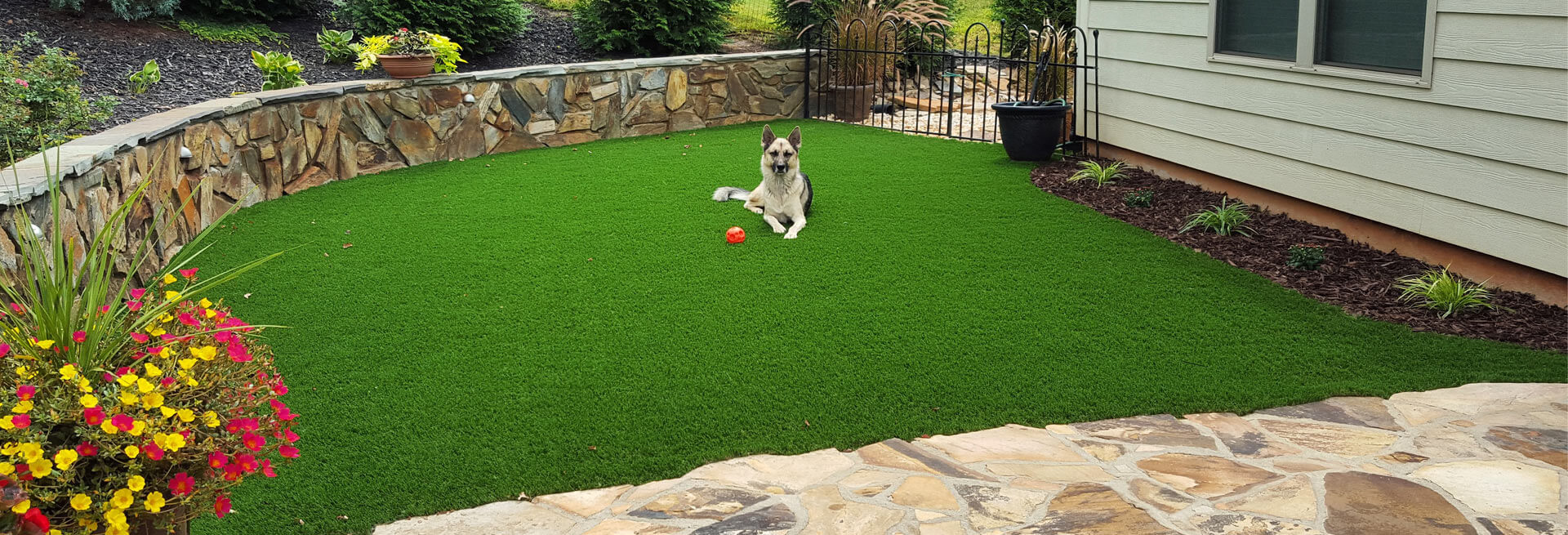What To Include In Your Diy Dog Run Synlawn Carolina