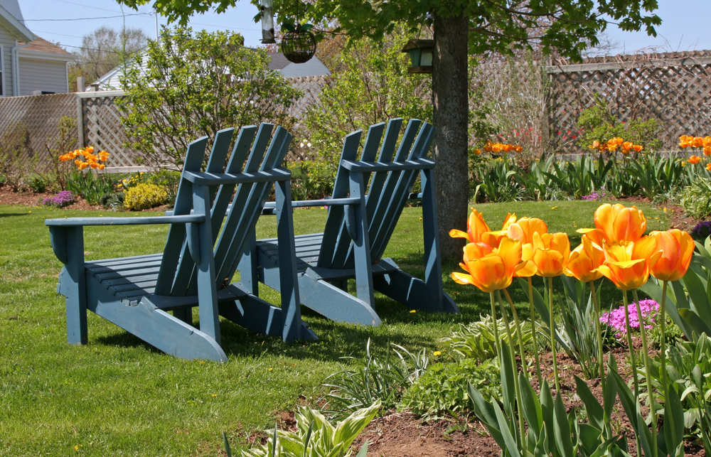 Four Easy Ways to Prepare Your Yard for Spring SYNLawn Carolina