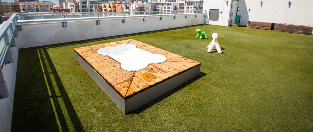 Artificial grass rooftop dog park