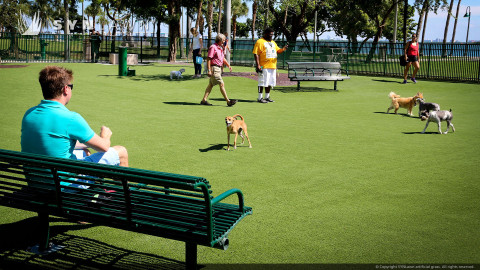 community dog park built with artificial grass