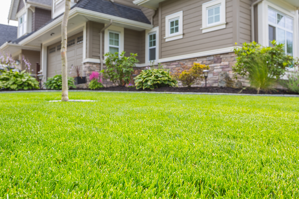 Best Reasons for North Carolina HOAs to Allow Synthetic Grass