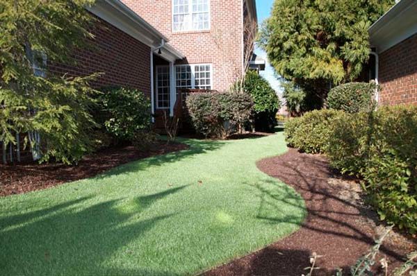 Backyard artificial grass Winston-Salem