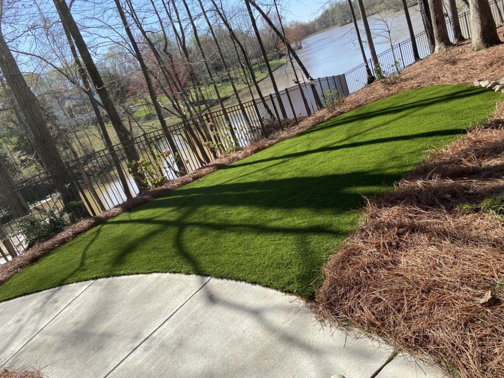lake front artificial grass backyard