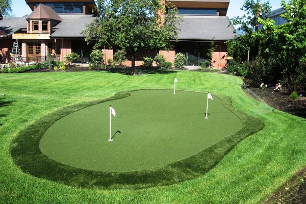 Backyard putting green