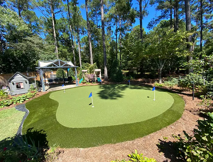 Backyard putting green with blue flags